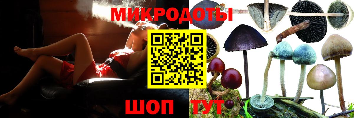 Лесной  Галлюциногенные грибы прущие грибы  Галлюциногенные грибы Psilocybine cubensis  Вход с VPN 